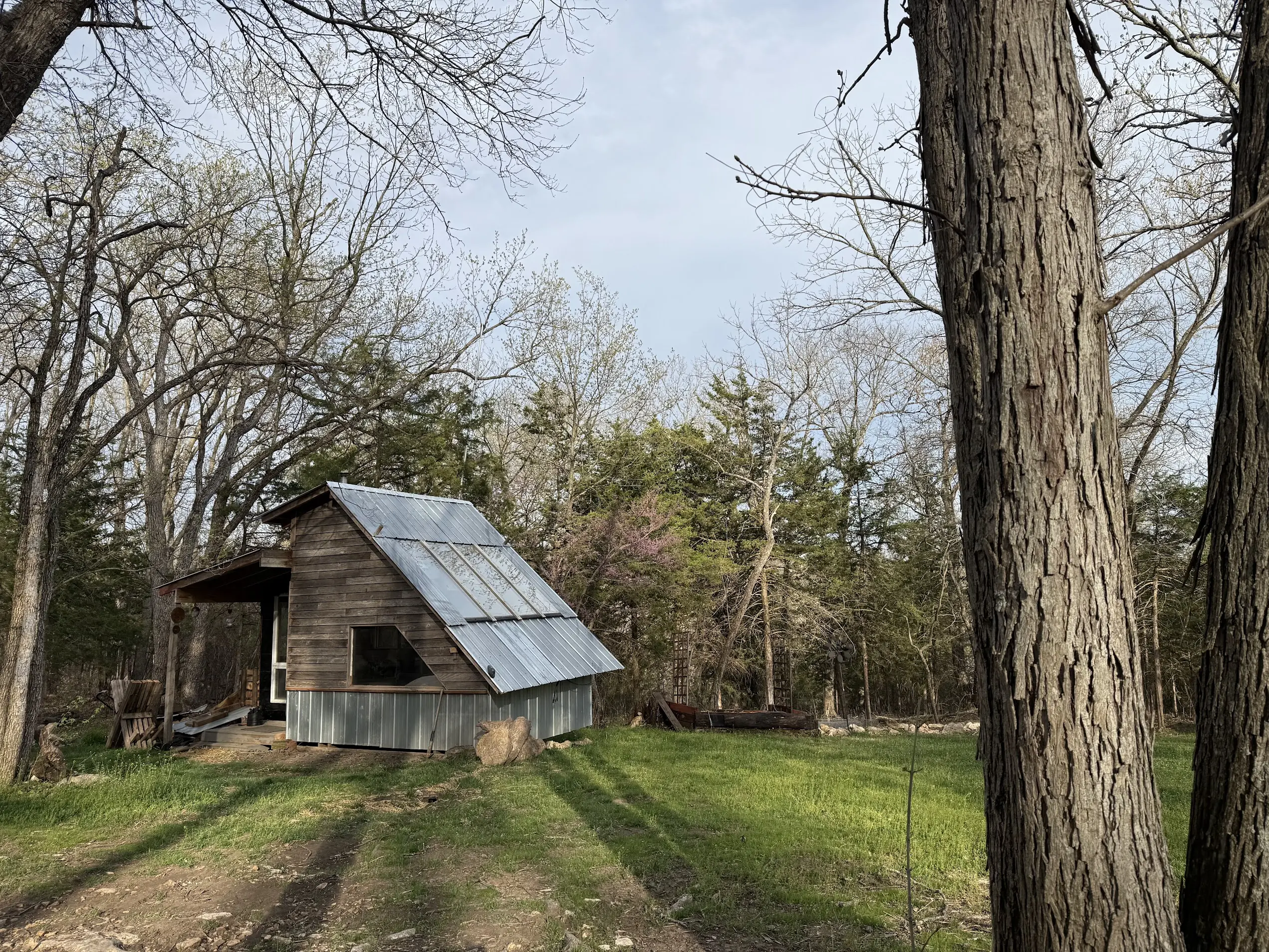 Teeny Cabin in the woods