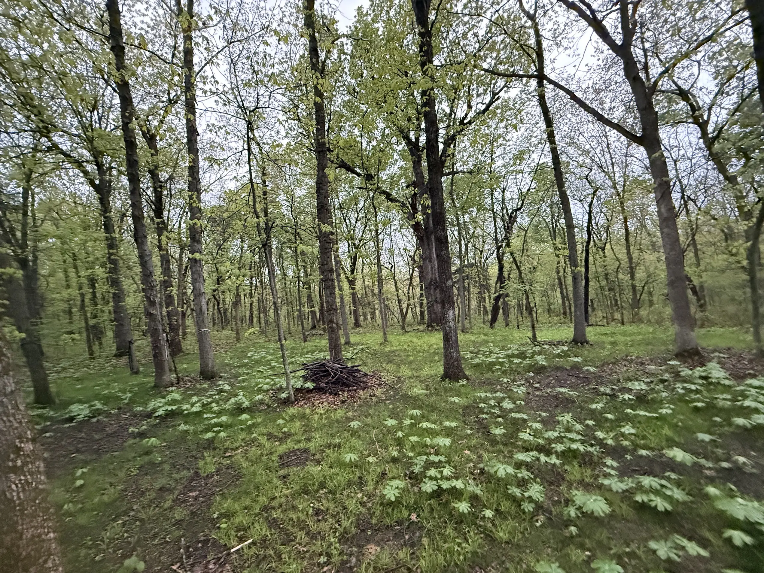 A peaceful, secluded spot for your tent